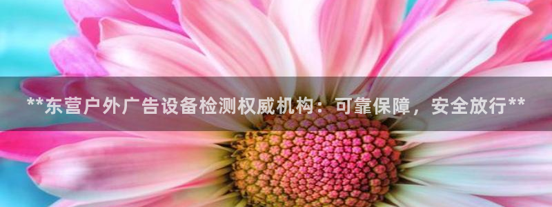 杏宇官方平台官网下载
