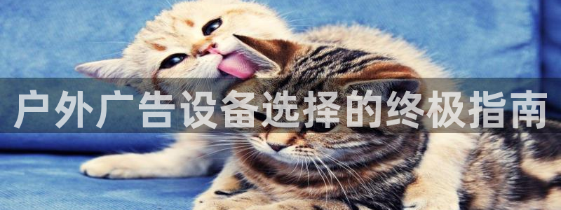 杏宇平台登陆