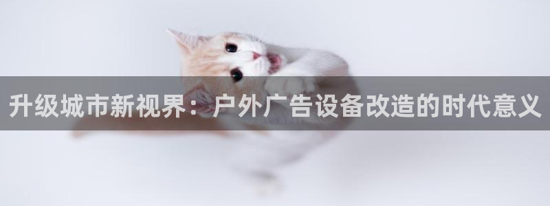 杏宇官方平台官网