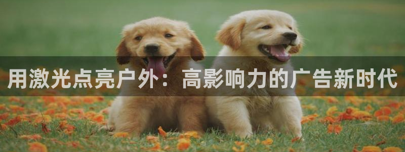 杏宇平台总代理是谁