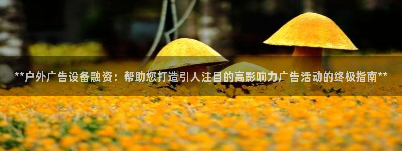 杏宇平台主管：**户外广告设备融资：帮助您打造引人注目的高影响力广告活动的终极指南**
