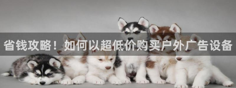 杏宇平台登录步骤图
