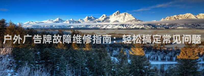 杏宇平台登录步骤图