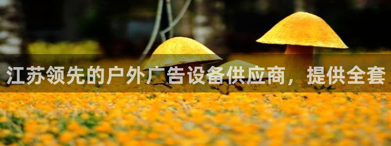 杏宇平台代理：江苏领先的户外广告设备供应商，提供全套