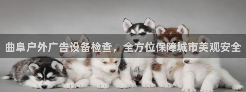 杏宇平台主管