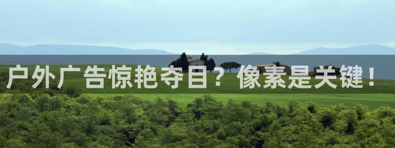 杏宇平台总代理电话