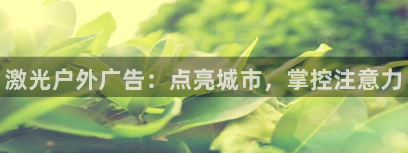 杏宇官方平台官网