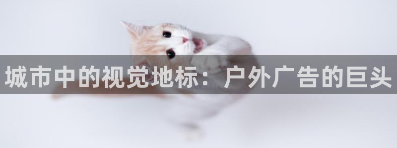 杏宇平台客服