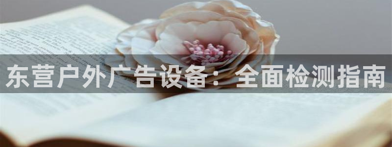 杏宇平台主管