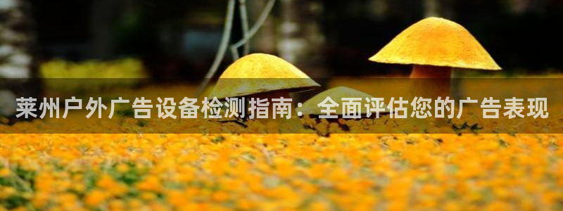 杏宇平台代理怎么样赚钱：莱州户外广告设备检测指南：全面评估您的广告表现