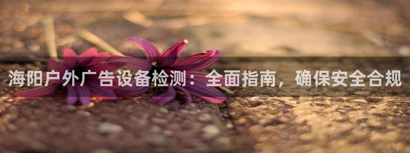 杏宇平台招商