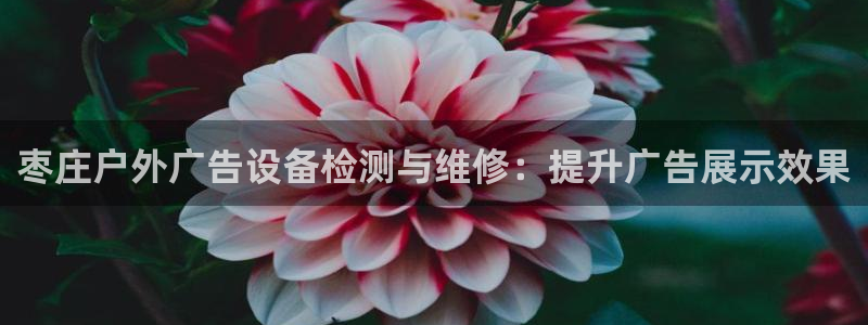 杏宇平台代理多少钱一个月