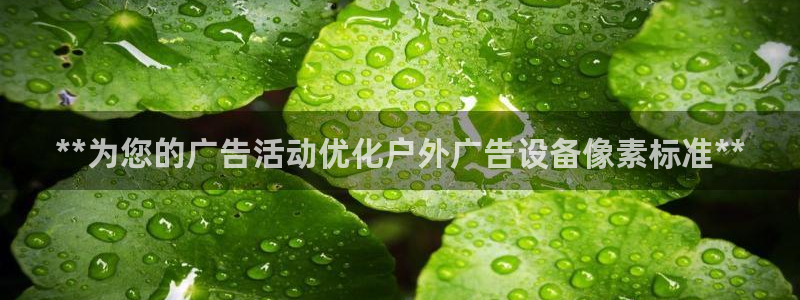 杏宇平台代理怎么样可靠吗