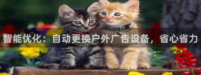 杏宇平台代理多少钱一个