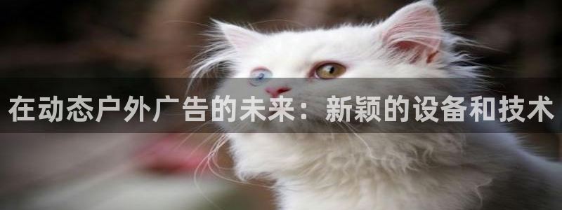 杏宇平台代理怎么样可靠吗：在动态户外广告的未来：新颖的设备和技术