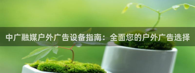 杏宇平台登陆