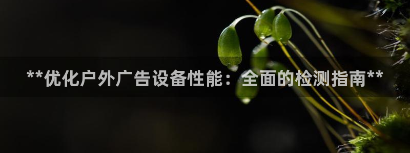 杏宇平台招商：**优化户外广告设备性能：全面的检测指南**