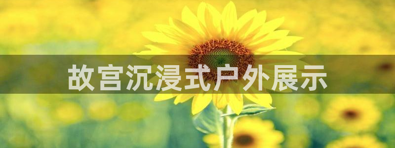 杏宇平台代理多少钱一个：故宫沉浸式户外展示