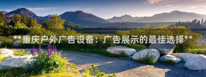 杏宇平台主管：**重庆户外广告设备：广告展示的最佳选择**