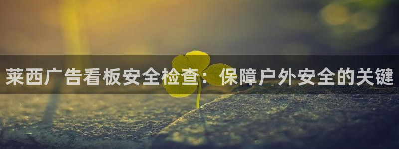 杏宇平台登录步骤图