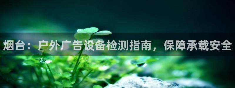 杏宇平台登陆