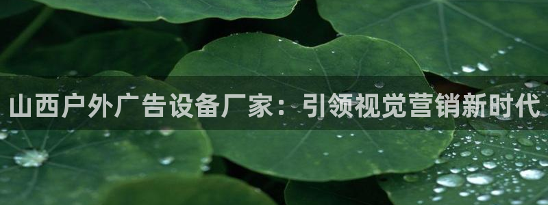 杏宇平台是什么