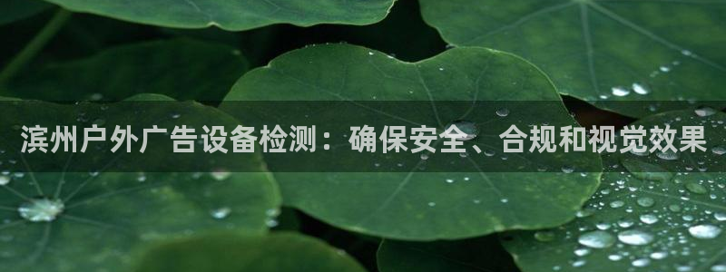 杏宇平台登录步骤图：滨州户外广告设备检测：确保安全、合规和视觉效果
