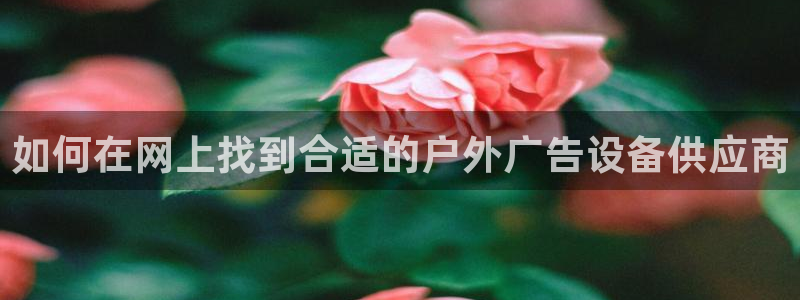 杏宇平台怎么样知乎