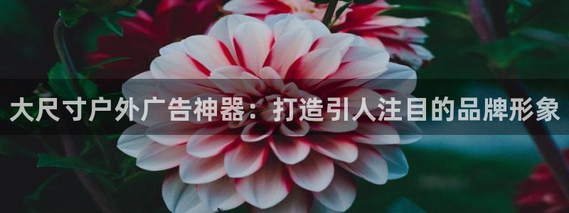 杏宇平台代理多少钱一个月