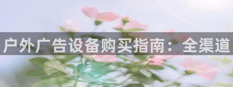杏宇官方平台官网