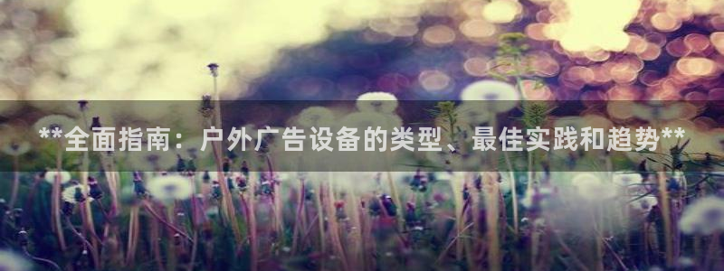 杏宇平台代理怎么样：**全面指南：户外广告设备的类型、最佳实践和趋势**