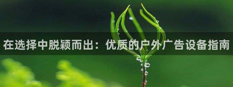 杏宇平台代理怎么样可靠吗：在选择中脱颖而出：优质的户外广告设备指南