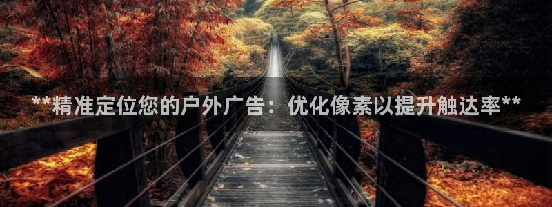 杏宇平台注册地址在哪里：**精准定位您的户外广告：优化像素以提升触达率**