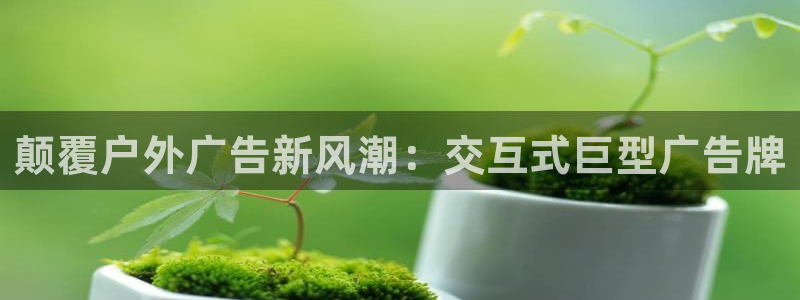 杏宇代理注册