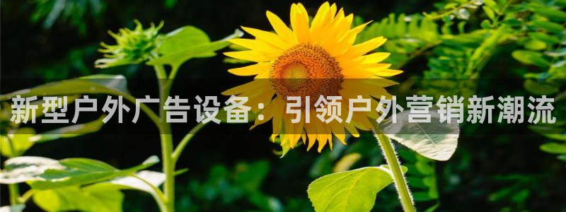 杏宇平台登录方法