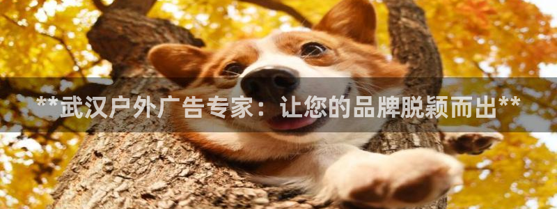 杏宇平台代理怎么样可靠吗：**武汉户外广告专家：让您的品牌脱颖而出**