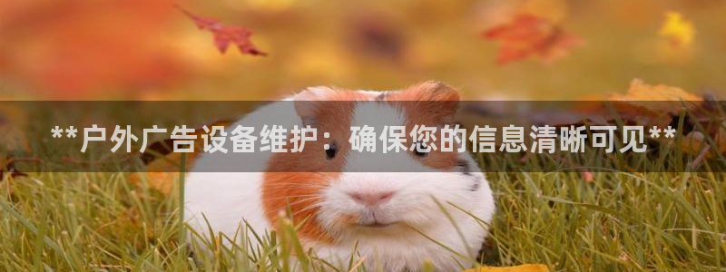 杏宇平台注册地址：**户外广告设备维护：确保您的信息清晰可见**