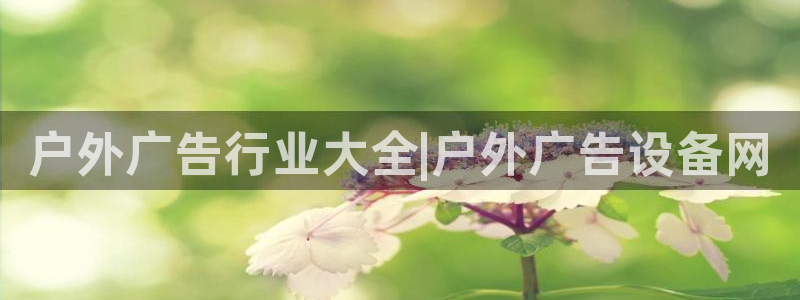 杏宇平台代理怎么样啊
