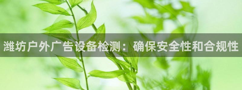 杏宇平台代理怎么赚钱的：潍坊户外广告设备检测：确保安全性和合规性