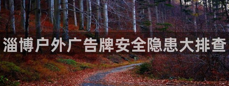杏宇平台代理