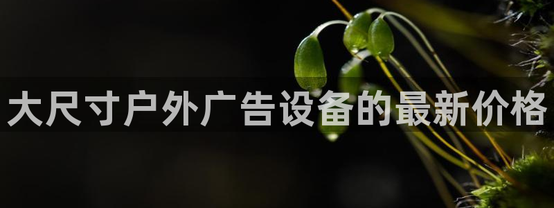 杏宇平台代理怎么赚钱快
