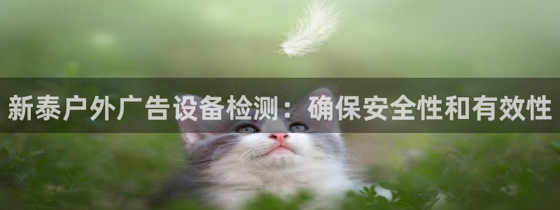杏宇平台总代理
