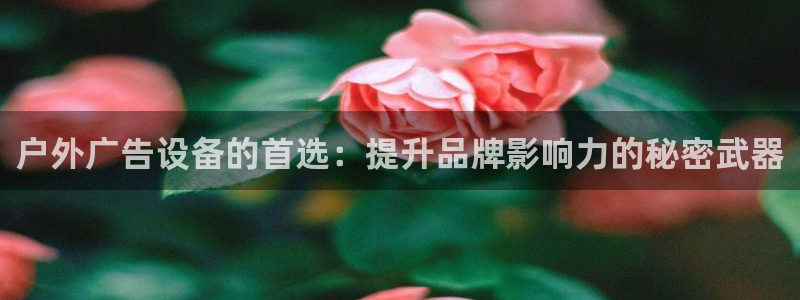 杏宇平台代理怎么赚钱快