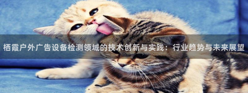 杏宇平台官网注册：栖霞户外广告设备检测领域的技术创新与实践：行业趋势与未来展望