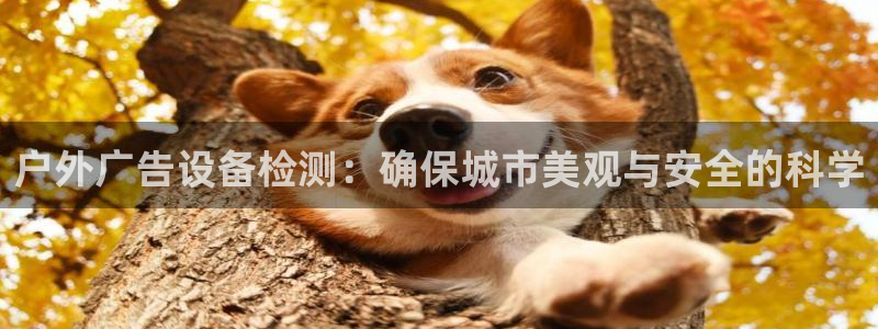 杏宇平台总代理电话：户外广告设备检测：确保城市美观与安全的科学