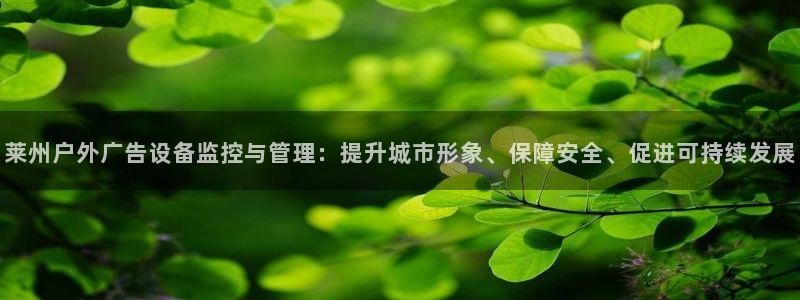 杏宇平台好吗：莱州户外广告设备监控与管理：提升城市形象、保障安全、促进可持续发展