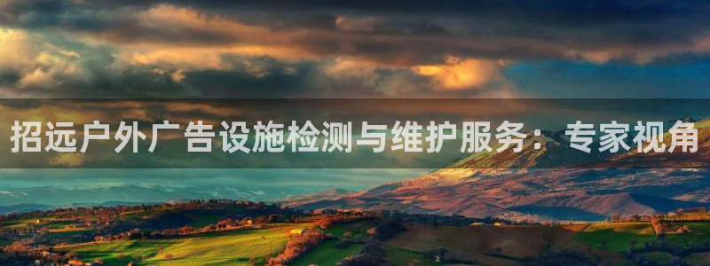 杏宇平台招商：招远户外广告设施检测与维护服务：专家视角