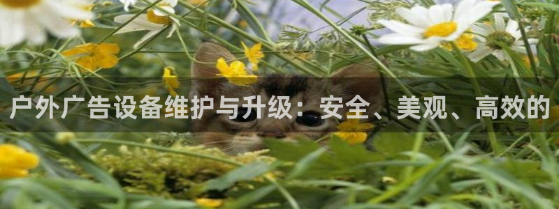 杏宇平台代理怎么样赚钱