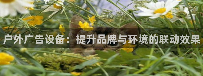 杏宇平台招商怎么样：户外广告设备：提升品
