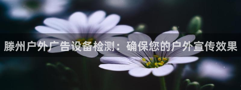 杏宇官方平台官网入口